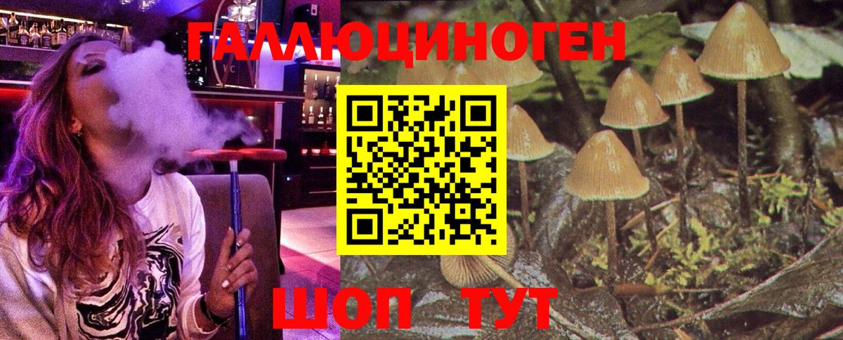 Галлюциногенные грибы Magic Shrooms  Галлюциногенные грибы GOLDEN TEACHER  Вход с VPN  Егорьевск 